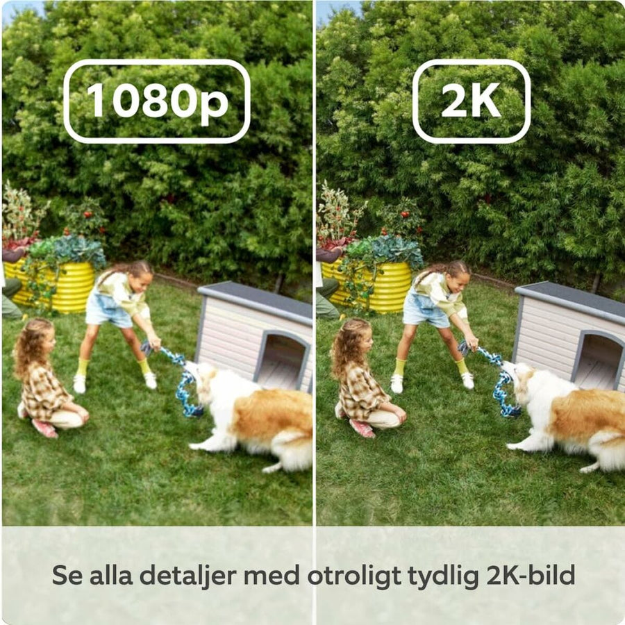 V2HEC3E09E5B8E6BC0F240A2C96F6B9564FR7556765P4