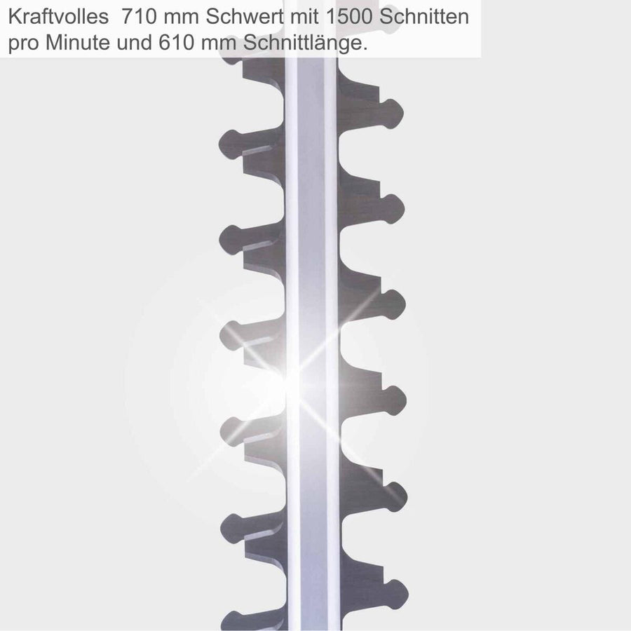 V2HA6C8F39E203762AEDE0C9860568E9B46R7468174P3