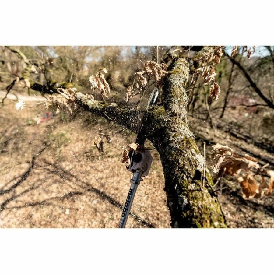 V6H9BD738405C9CDE72FED4831CC00A95CCR7319966P6