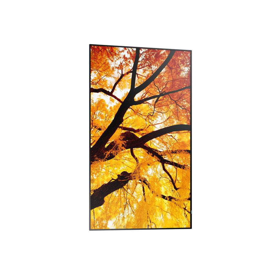 V3HFD3B2153E3B8B0D0FD5D254706506529R7466256P5