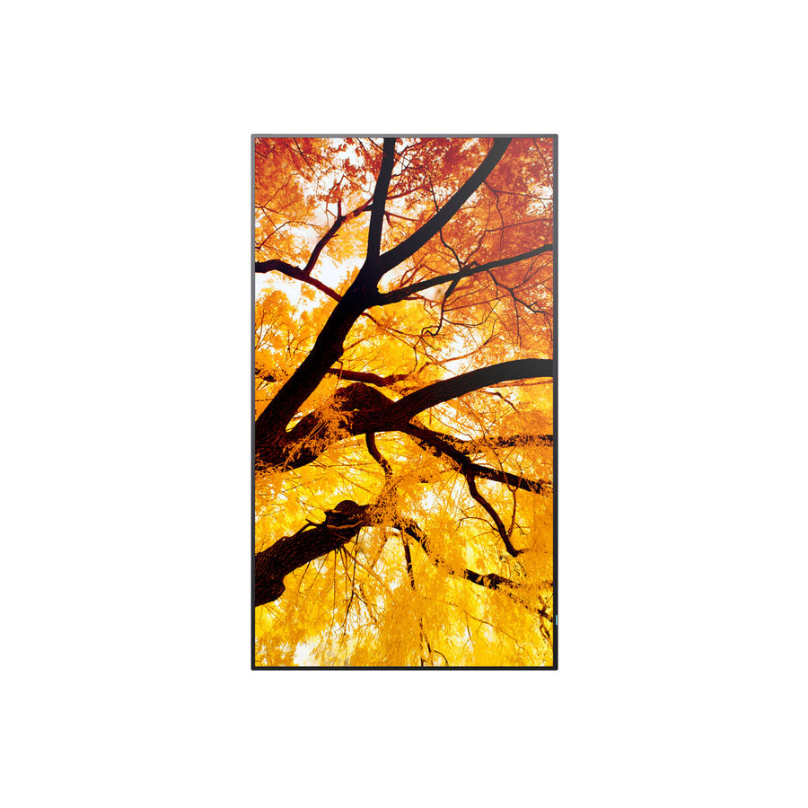 V3H15A614E4727623B6D1685010336360A5R7465289P8