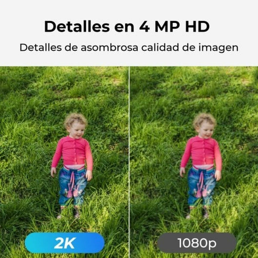 V4H6D131DFFED61ED04FC926D754E46B8C4R5555742P2