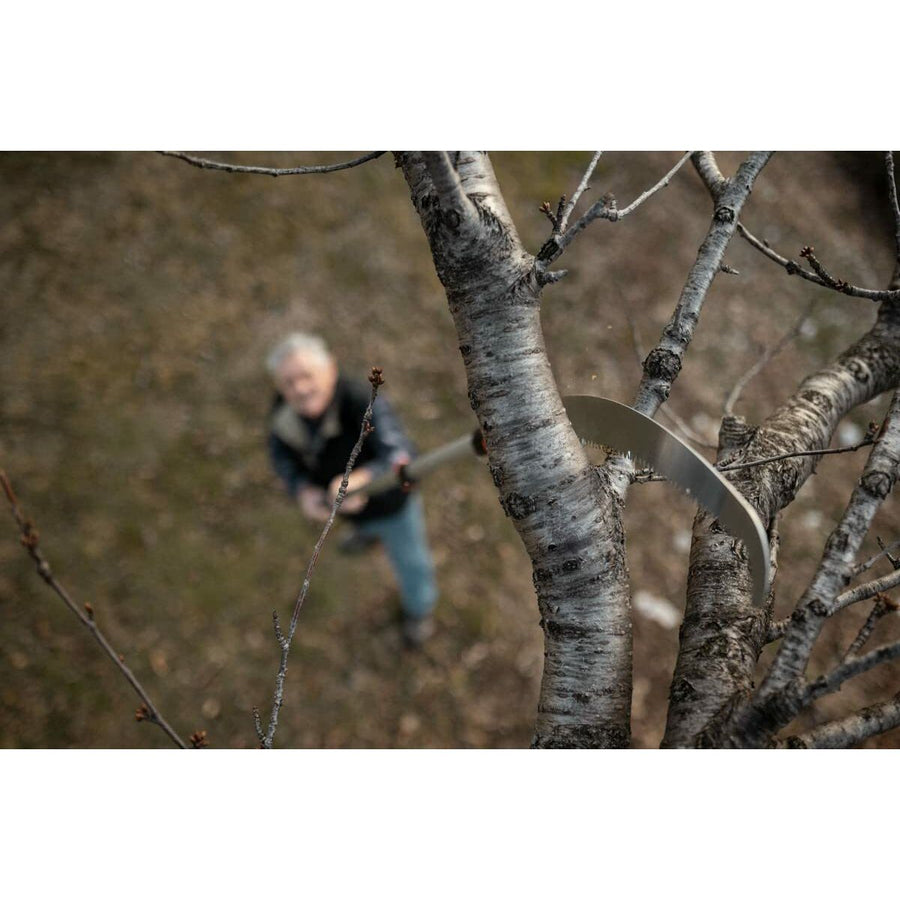 V8H59A8B3F3CB0513BA8FC1959C3FEE9C65R3447926P2