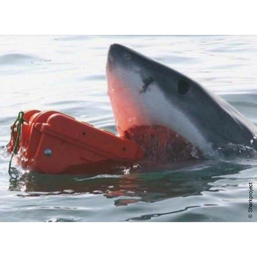 V3H87EC95624924A558270C4CE4E442FFA1R7121724P6