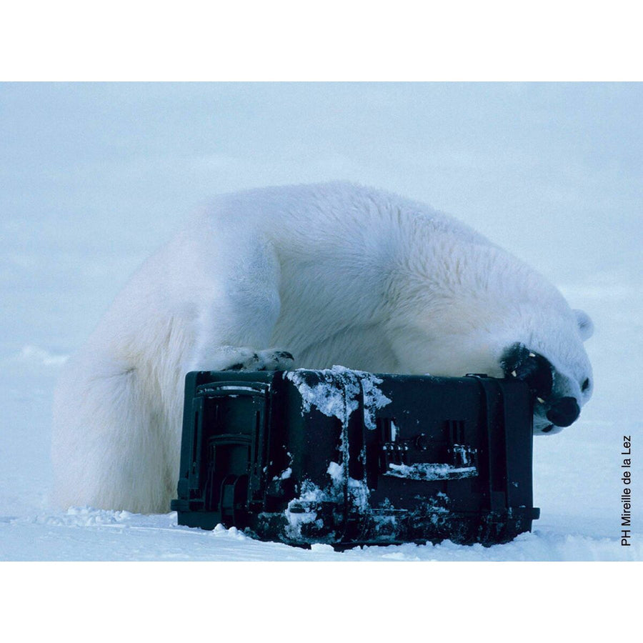 V3HF1A8008518C77D31D2B92F69CE983788R7359149P9