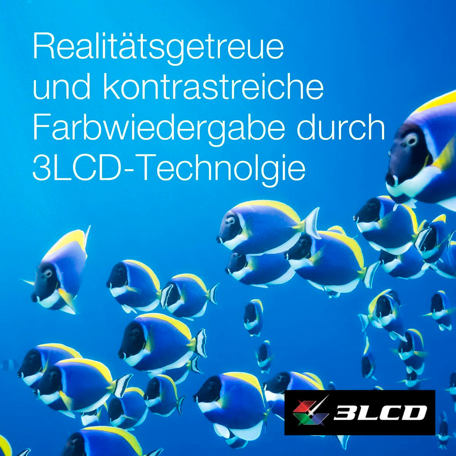 V3H6F993EF8B0295D26DE5BAD84626E8295R7512858P5