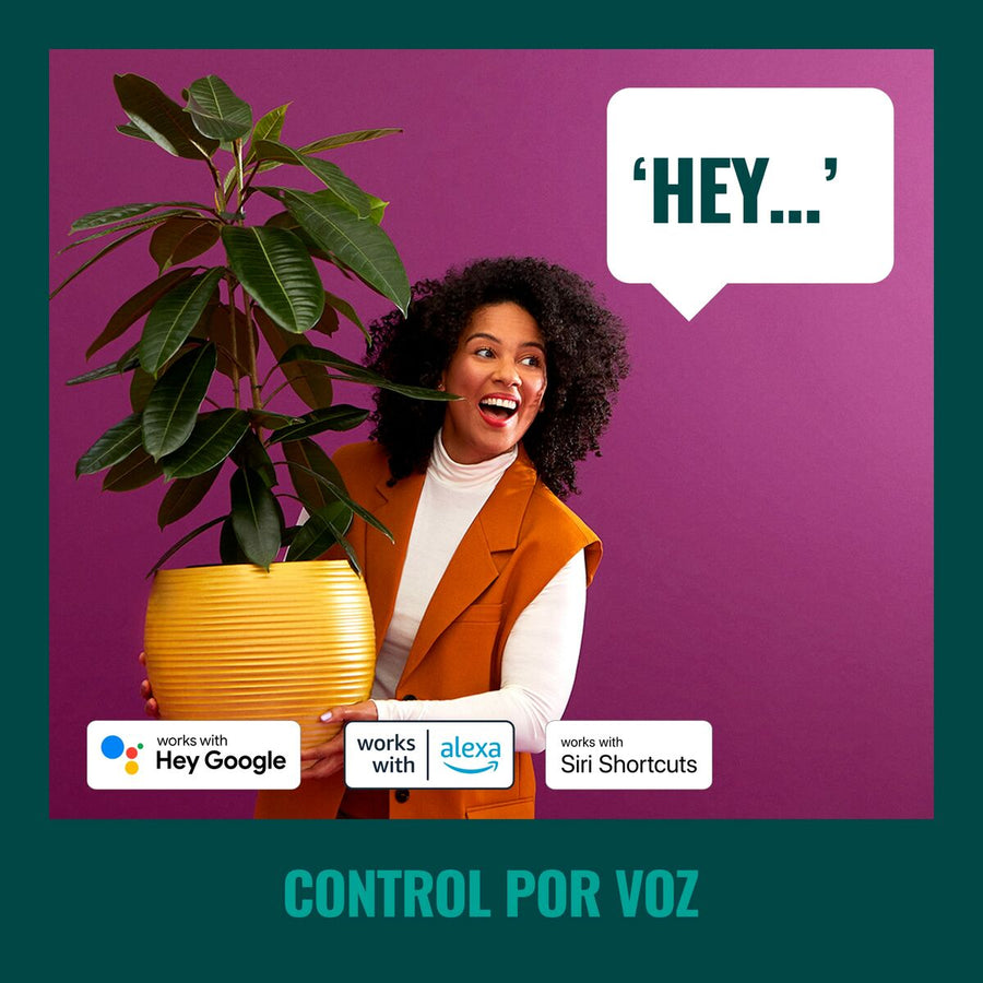 V8H48F17BBB30D9F284DDBDB90109E0E1AFR3272563P8